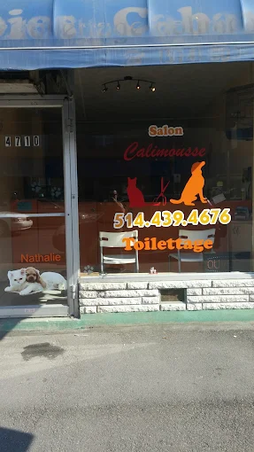 Devanture du Salon Calimousse — Nathalie toiletteuse